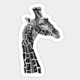 Giraffe Sticker